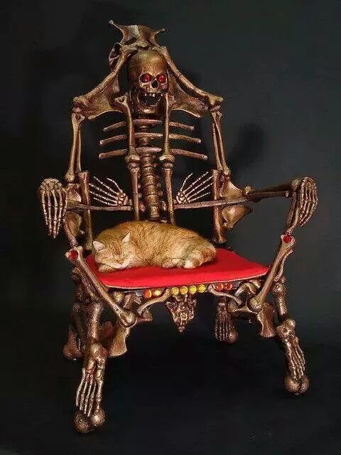 The cat in its preferred habitat... a throne of death.